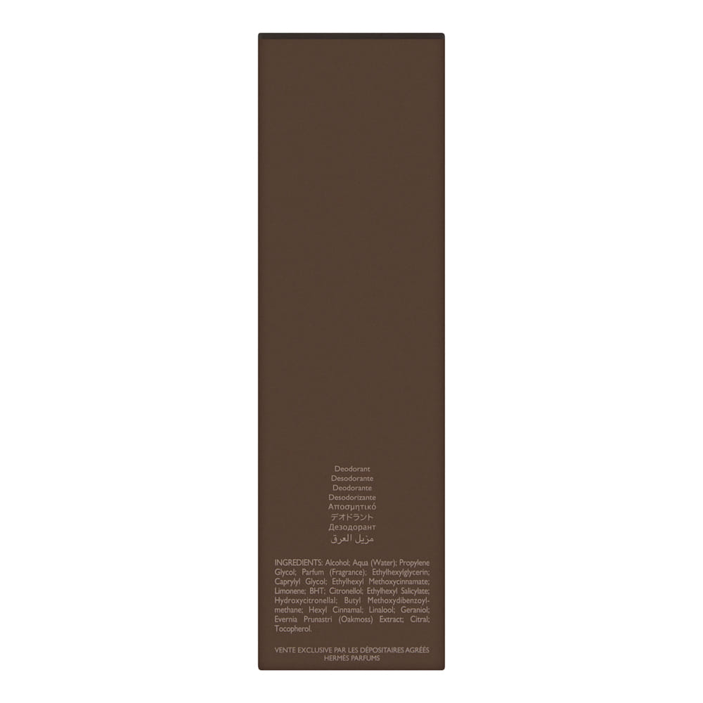 Terre D'Hermes by Hermes for Men 5.0 oz Deodorant Spray